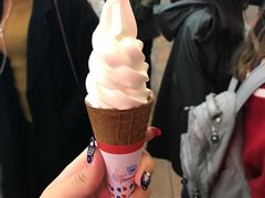 -富豪雪糕车流动点(尖沙咀)