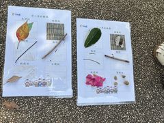 -七田真体验中心(徐东群星城中心)