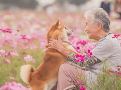 -乐宠动物医院
