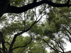 -烟袋斜街