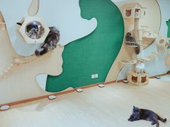 -猫和宫(六道口店)