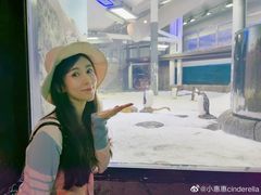 -悉尼海洋生物水族馆