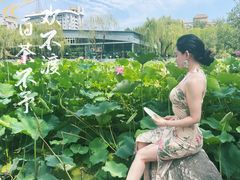 -莲湖公园