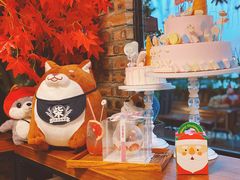 -柴犬高等学院·狗咖·柴犬售卖·宠物训练