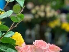 -外滩三号餐厅·创意中餐