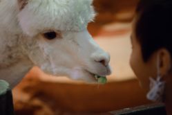 -酷嗒动物文化乐园(cutezoo西溪乐天城店)