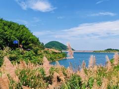 -长沙黑麋峰国家森林公园
