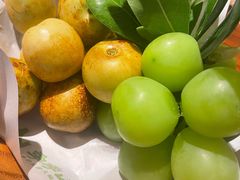 -季季山·云南野生菌火锅(上海首店)