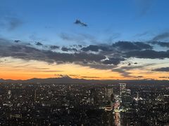 -六本木新城展望台(东京城市景观)