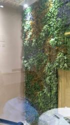 -星豆豆儿童摄影(南郊太白南路店)