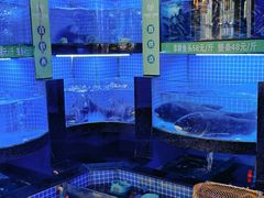 -千岛湖小鱼儿·淳安匠心农家菜