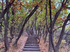 -帽儿山国家森林公园