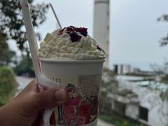-茶颜悦色(岳麓山顶店)