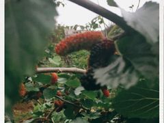 -邹记·美食(斗门店)