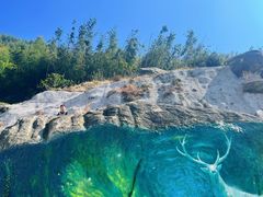 -长沙黑麋峰国家森林公园