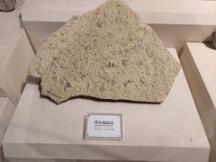 -辽宁古生物博物馆