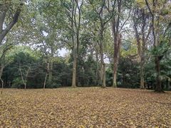 -杭州植物园