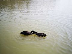 -艾溪湖湿地公园