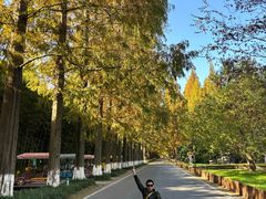 -黄海国家森林公园