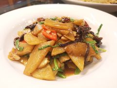 -食家鸽园