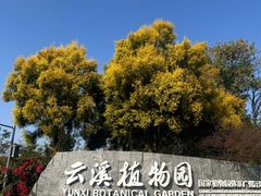 -云溪植物园