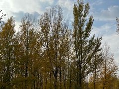 -鄂尔多斯野生动物园