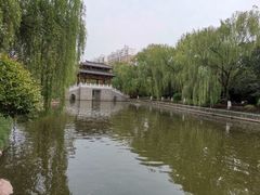 -宝鸡植物园