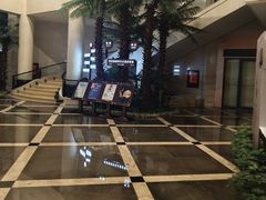 -现代华天大酒店海鲜自助餐(芙蓉南路店)