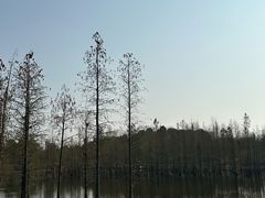 -白鹭湾湿地公园