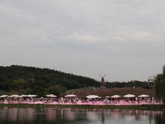 -大塘金香草谷
