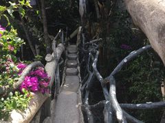-疯狂屋
