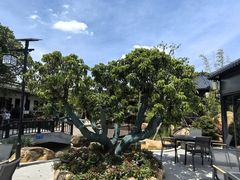 -中山市绿华园食府