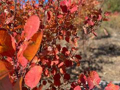 -白水寺森林公园