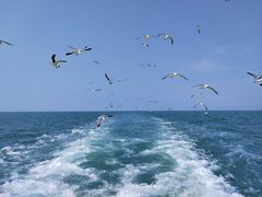 -海驴岛(荣成市)