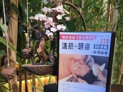 -施奈儿.洗头頭療.按摩SPA.采耳(上梅林店)