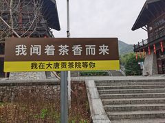 -大唐贡茶院