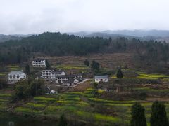 精品肥牛-老码头火锅(玉林店)