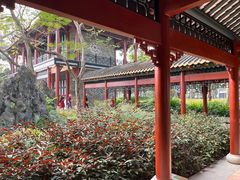 -顺峰山公园