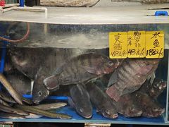 -广府乡下·饭庄(新港东路店)