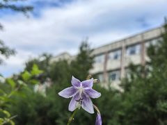 -首都医科大学附属北京友谊医院(西城院区)