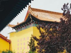 -兰山公园