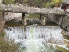 -都江堰石锅鱼