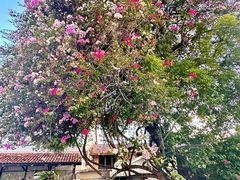 -槟城街头艺术街区