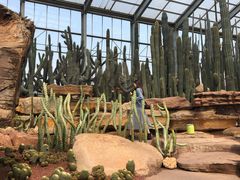 -南通洲际绿博园