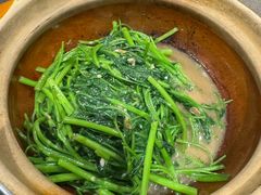 -熠盛粤味·顺德桑拿鸡(永康路店)