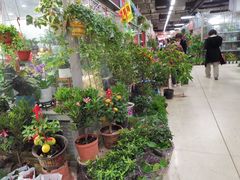 -无锡文化工艺品市场(槐古路店)