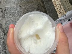 -洪馨椰子