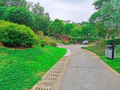 -火炉山森林公园