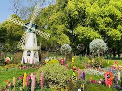 -上海共青森林公园