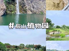 -上海辰山植物园